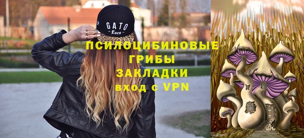 стаф Лагань
