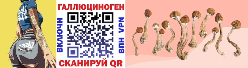 Псилоцибиновые грибы Cubensis  Палласовка 